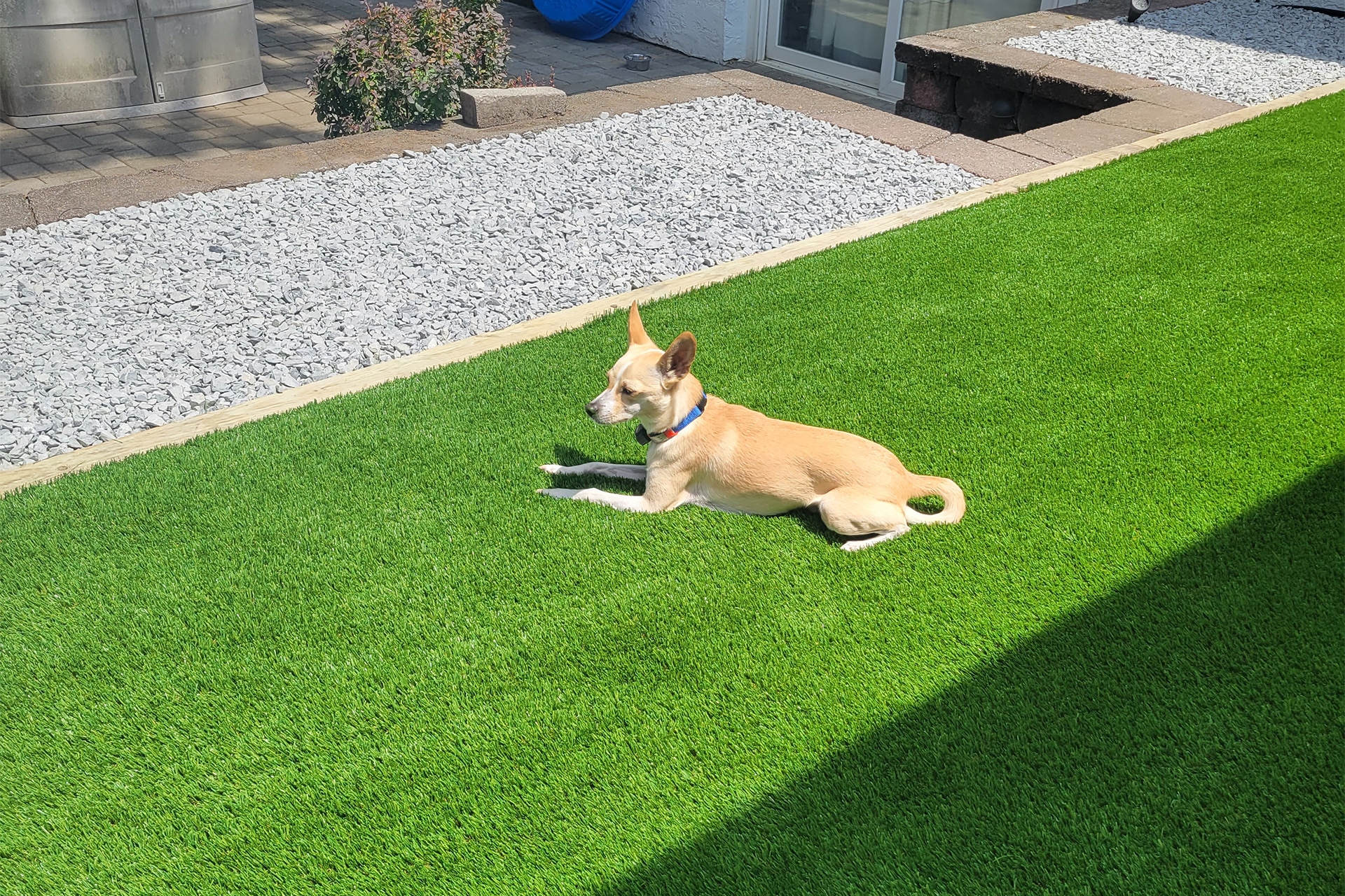 Pet-friendly artificial turf installation